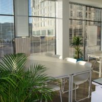 Benefits Of Plants In The Office
